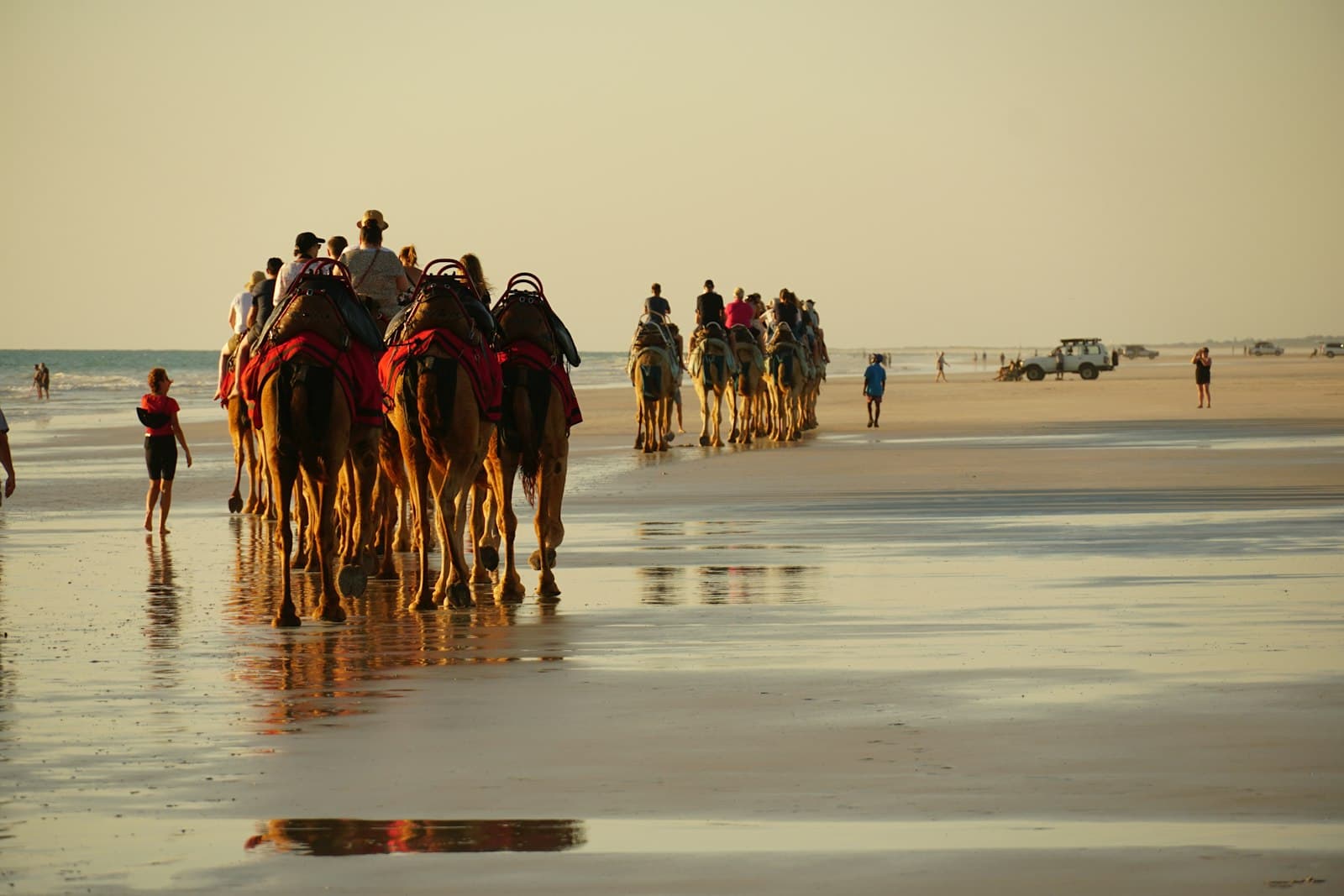 A camel train carrying riders along Cable Beach at sunset in Broome