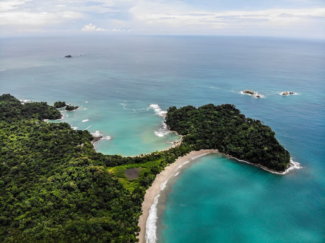 Rainforest meeting bright sand at Manuel Antonio