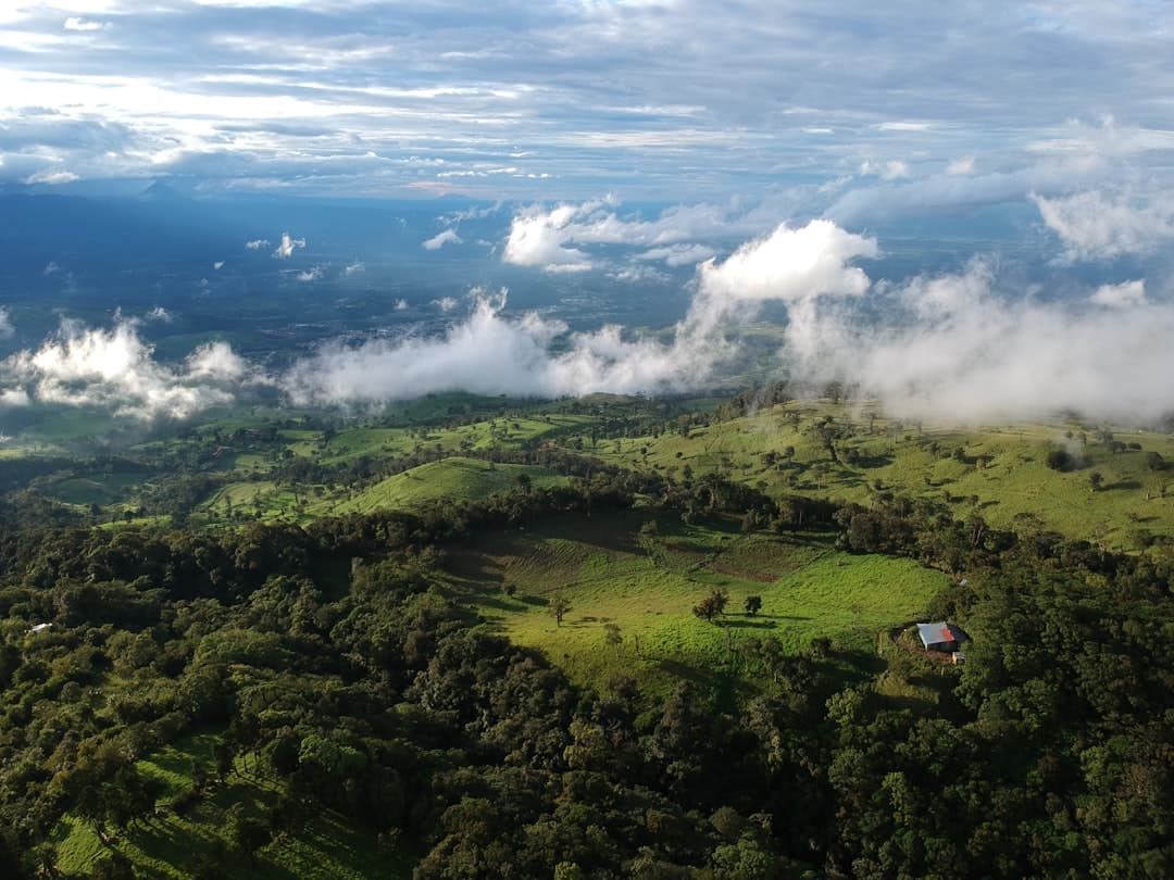 Green pastures and forest rolling down toward the hazy Central Valley floor