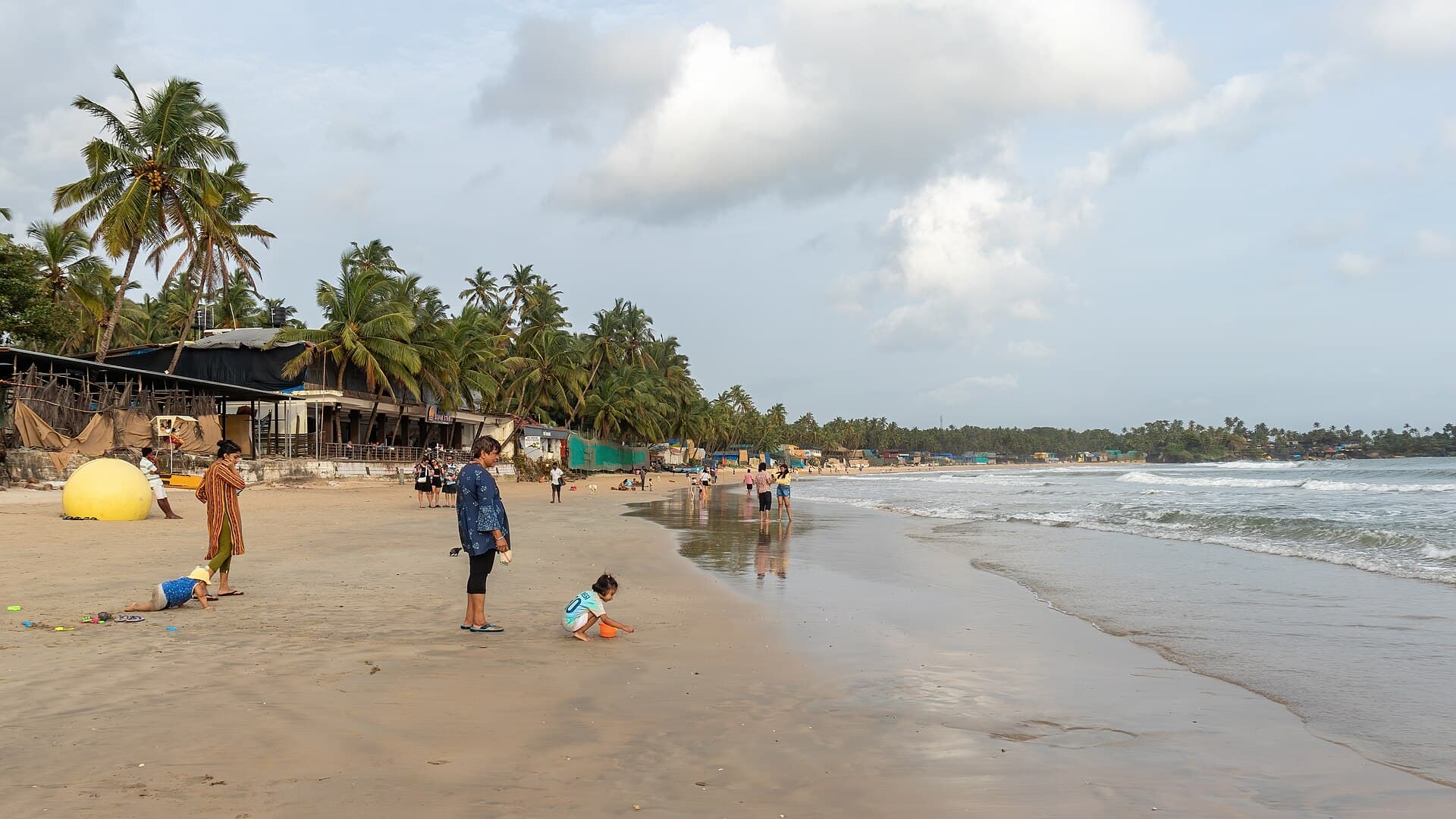 Palms lining the sand at a Goa beach