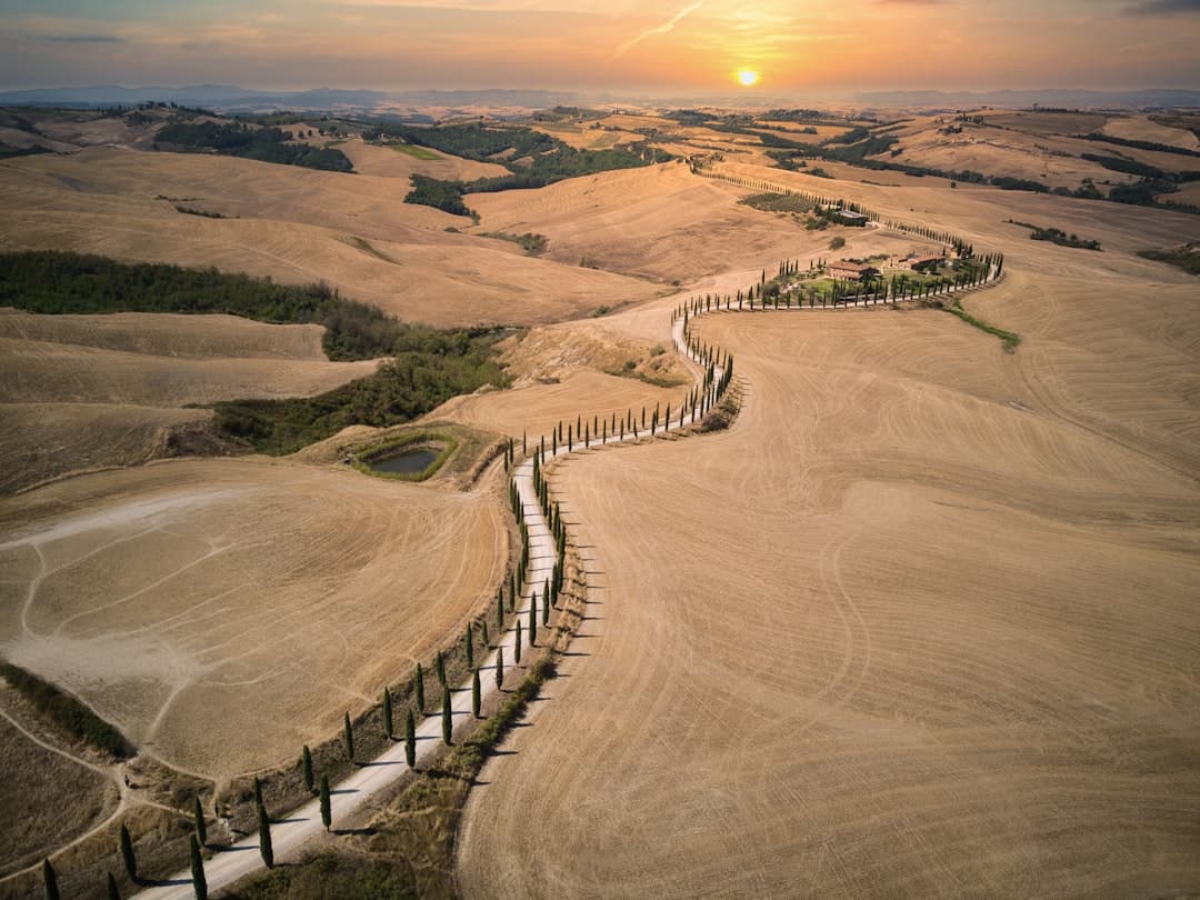 Cypress lanes winding through the Val d'Orcia's golden hills