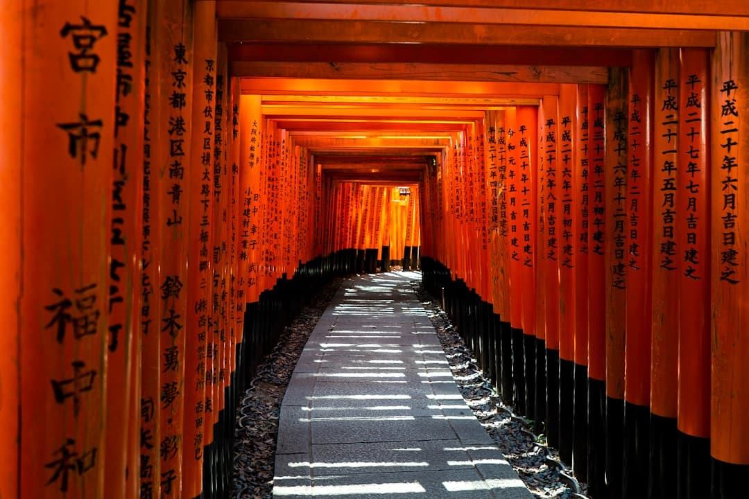 The vermilion torii tunnels of Fushimi Inari, Kyoto