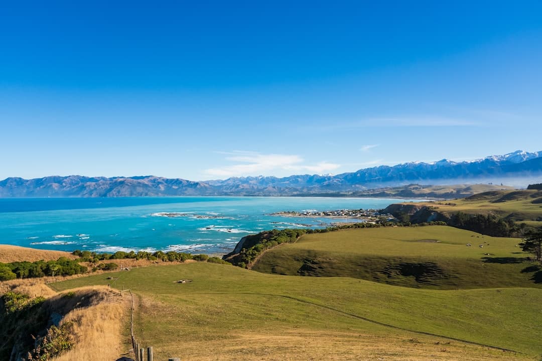Green headland pastures above Kaikōura's turquoise coast, snow-capped ranges behind