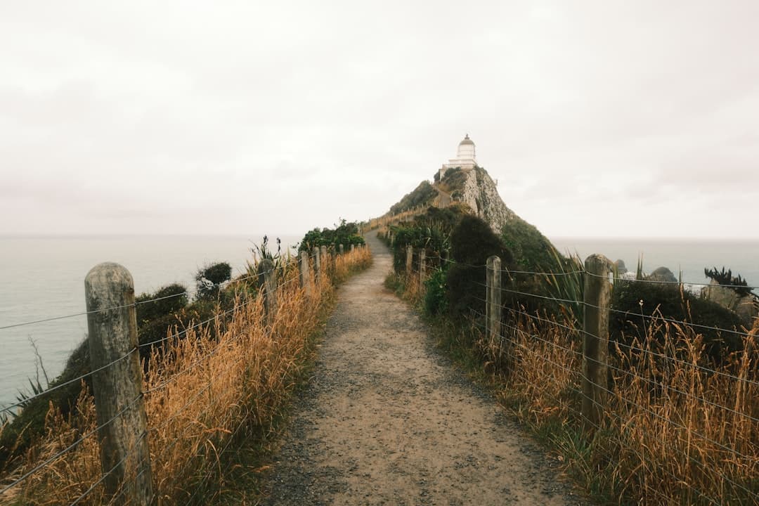 The walking path leading out to the white Nugget Point lighthouse on its headland