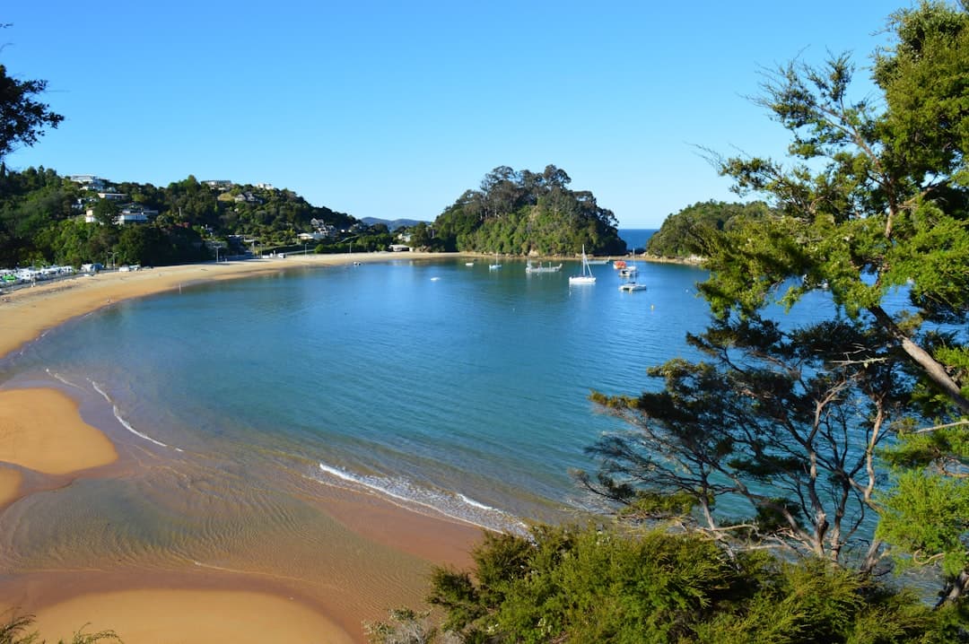 A curved golden-sand bay with clear turquoise water at the edge of Abel Tasman