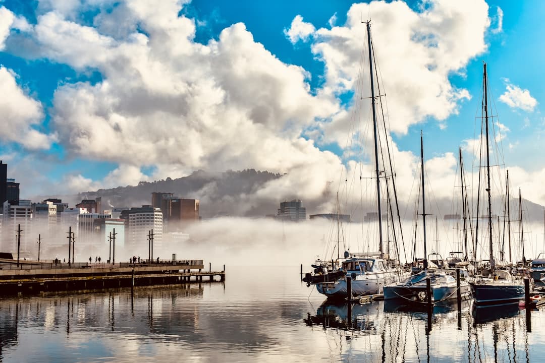 Yachts moored in Wellington's harbour marina with fog rolling over the city hills
