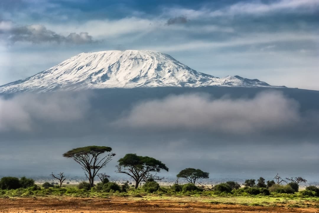 Kilimanjaro's snowy summit rising above the savannah haze