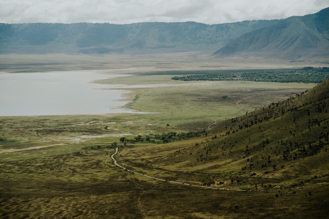 The Ngorongoro Crater's floor spread out below the rim
