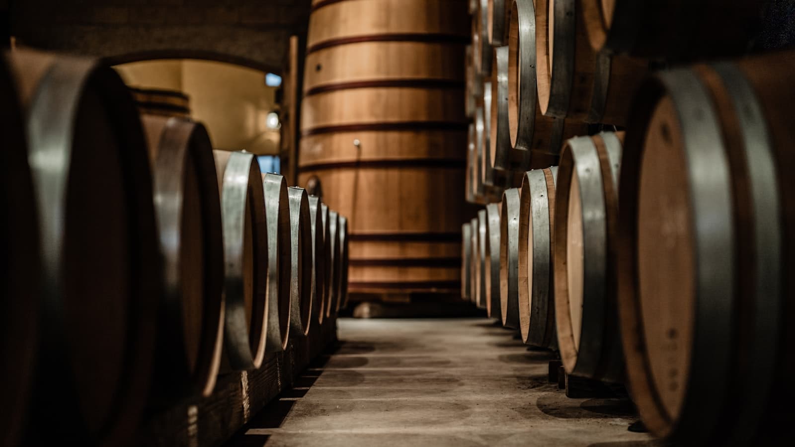 Oak barrels stacked in a dim winery cellar
