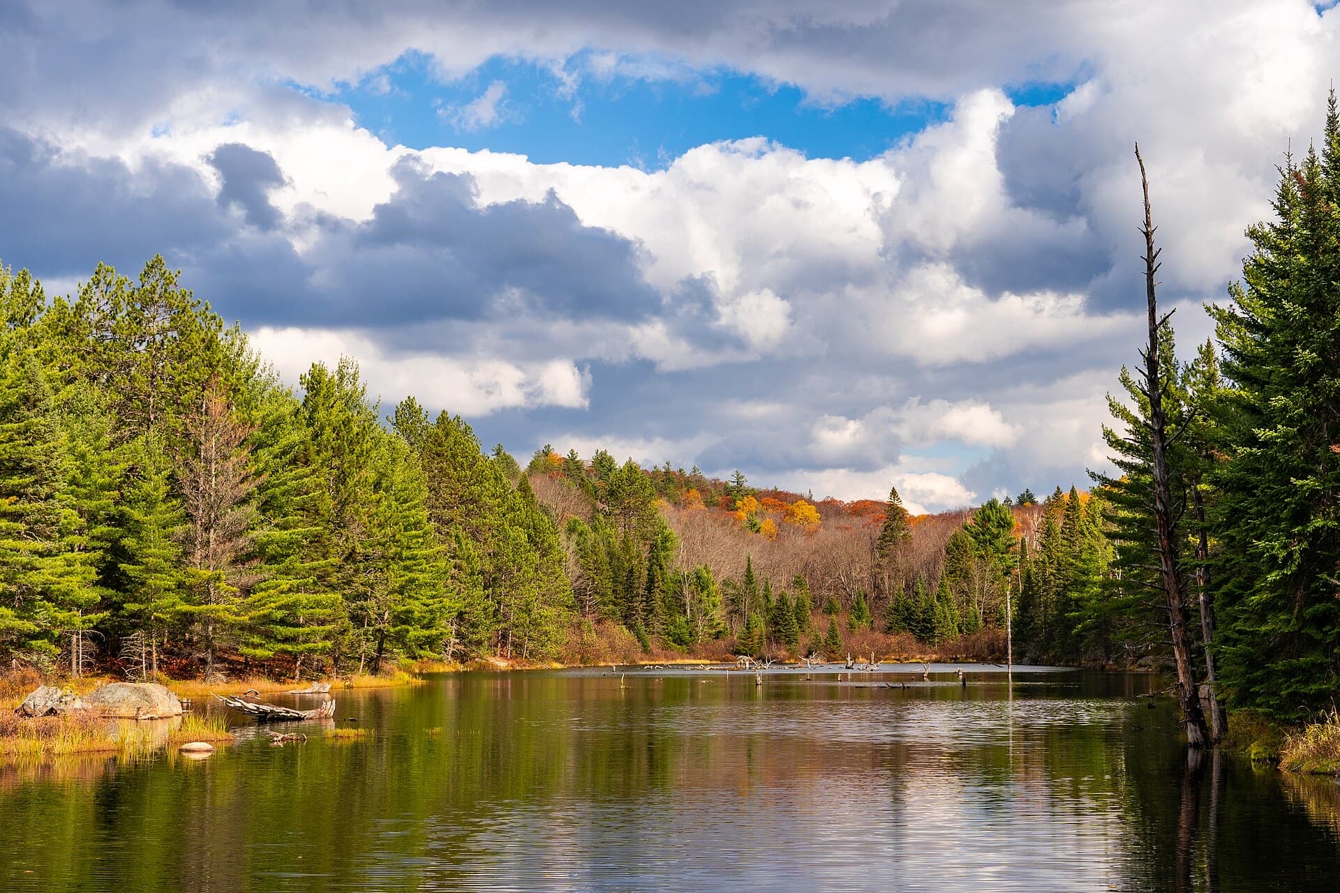 Autumn maples turning along a still lake in Algonquin