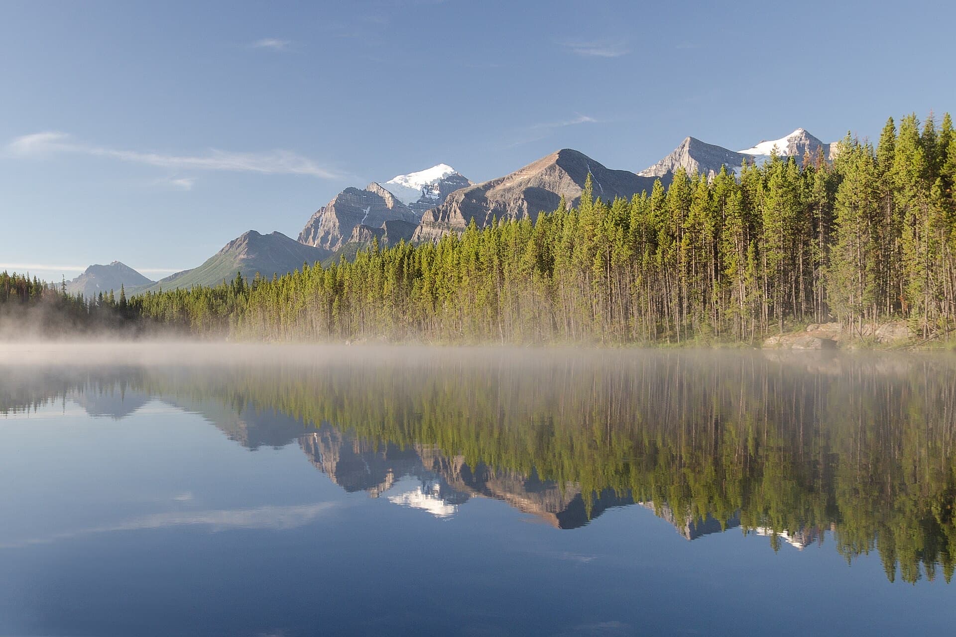 Forest and peaks mirrored in still water along the Icefields Parkway