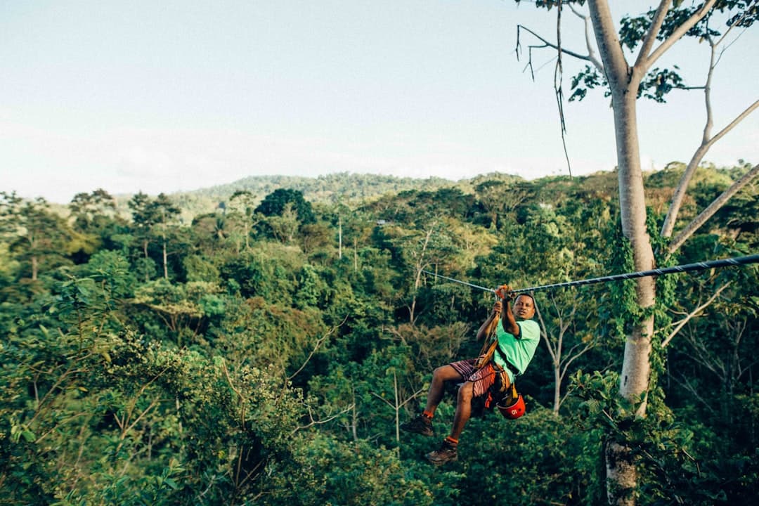 A zipliner flying through rainforest canopy