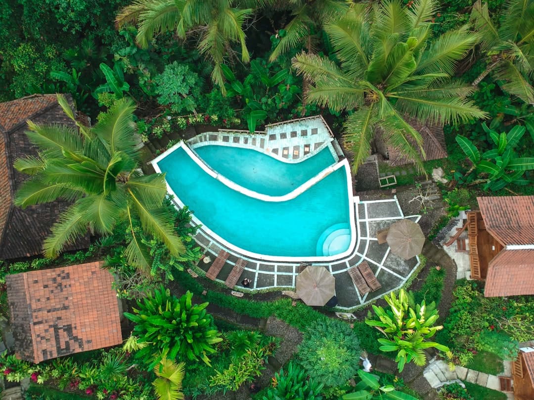 A rainforest lodge pool wrapped in jungle