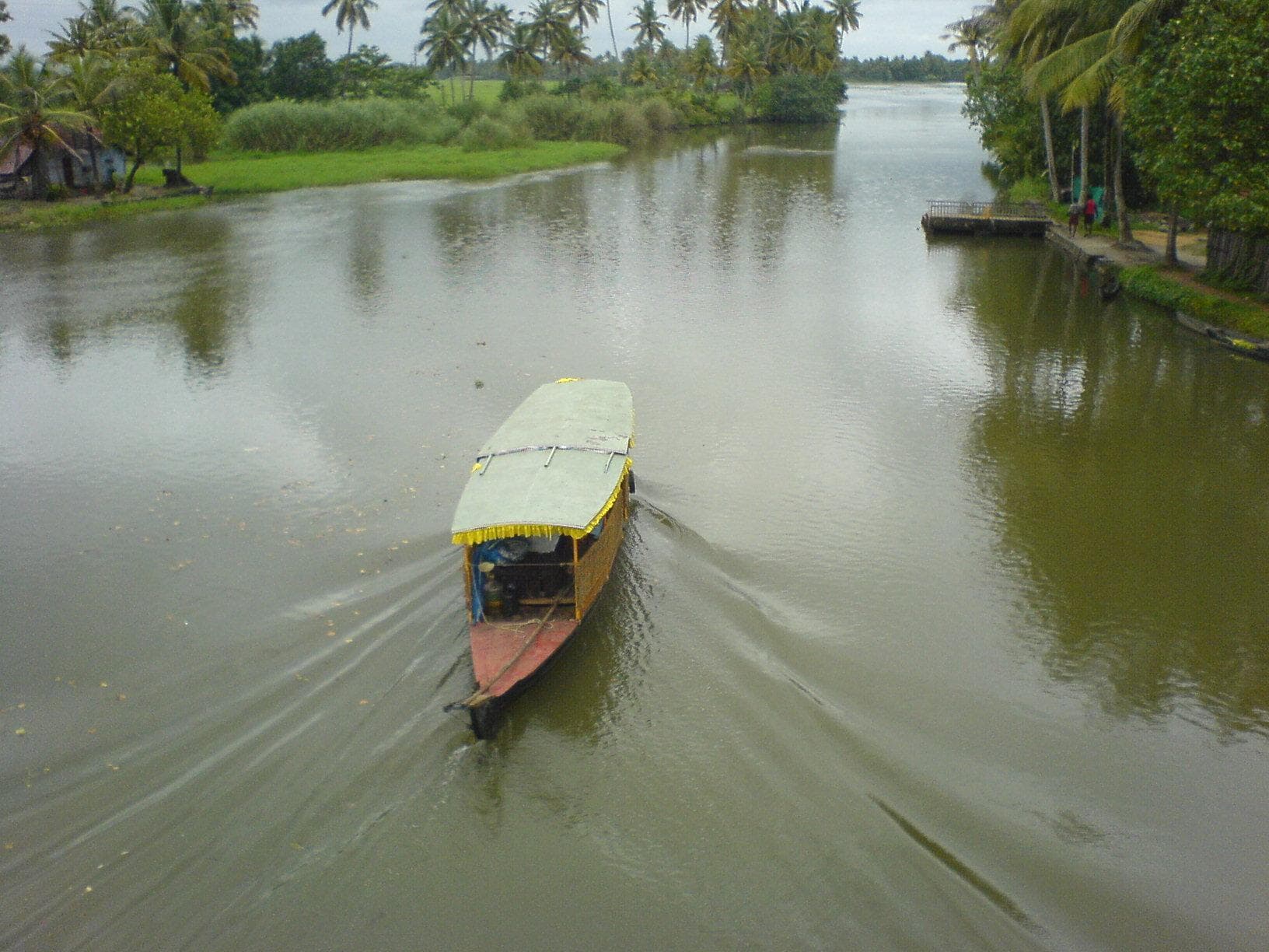 A narrow palm-shaded canal in the Kerala backwaters
