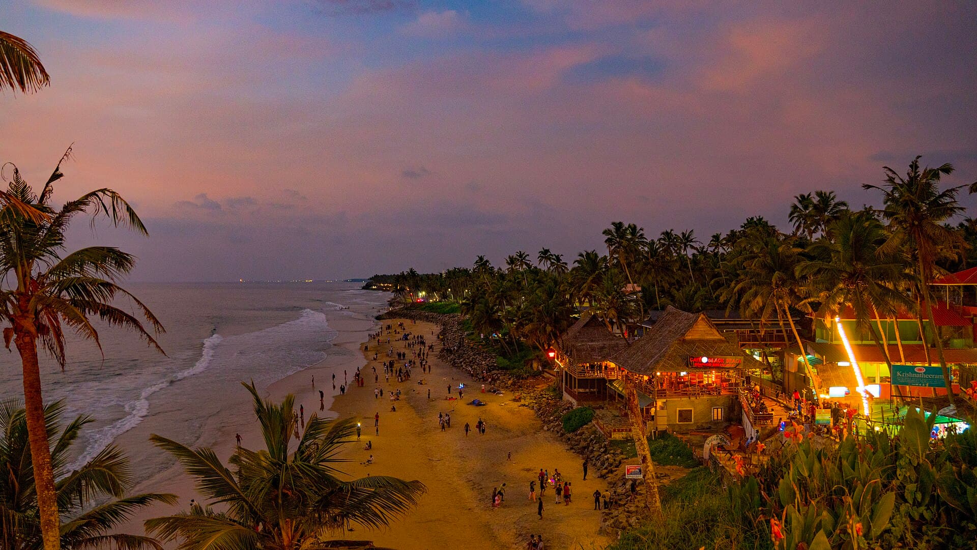 Varkala's red cliffs above a palm-backed beach