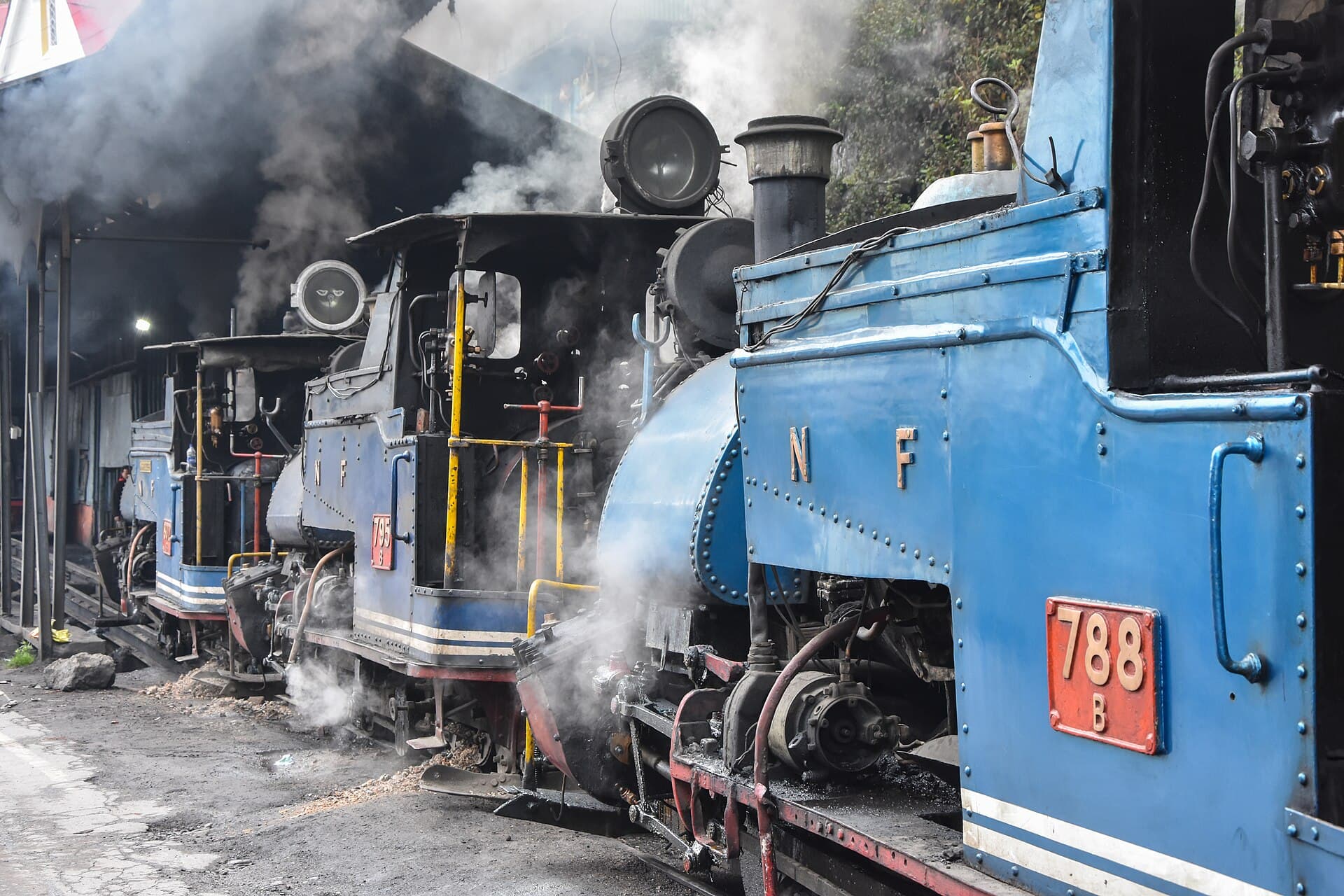 The Darjeeling toy train steaming through the hills