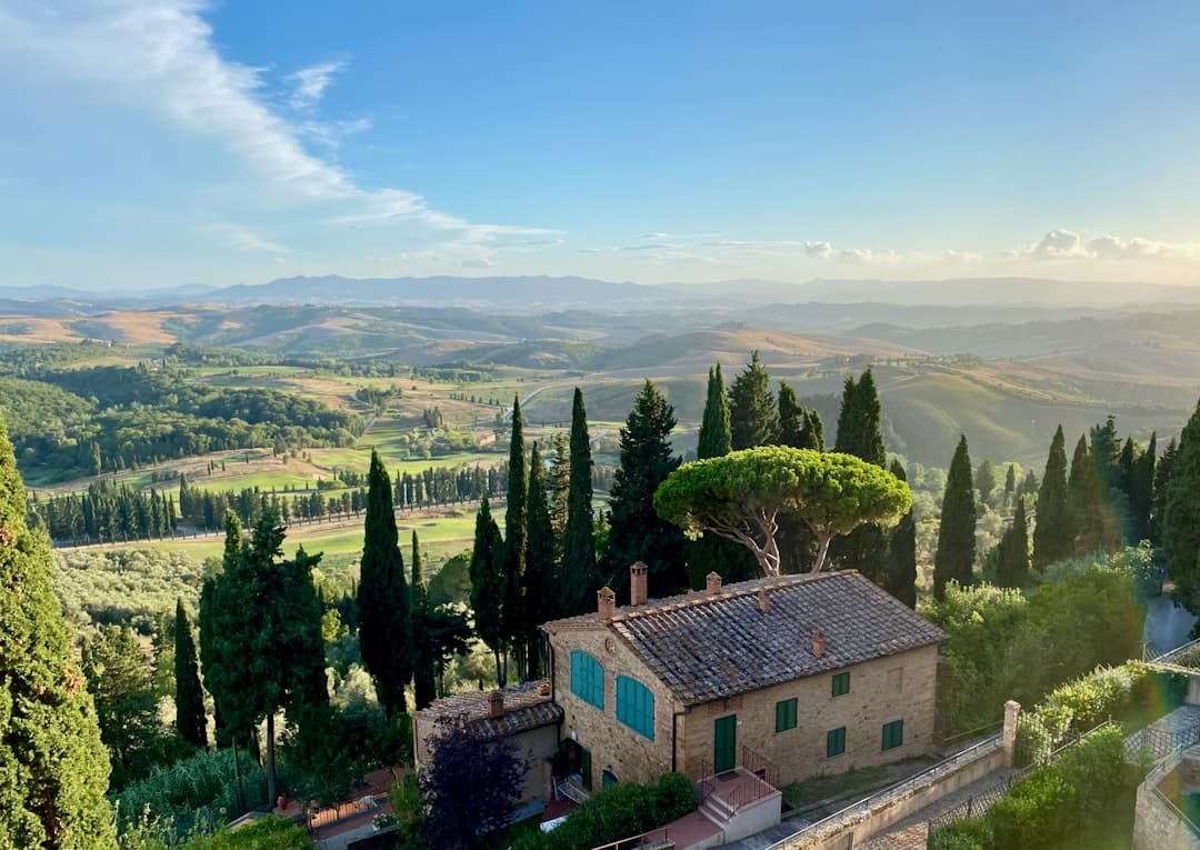 A stone hill town stacked above olive groves