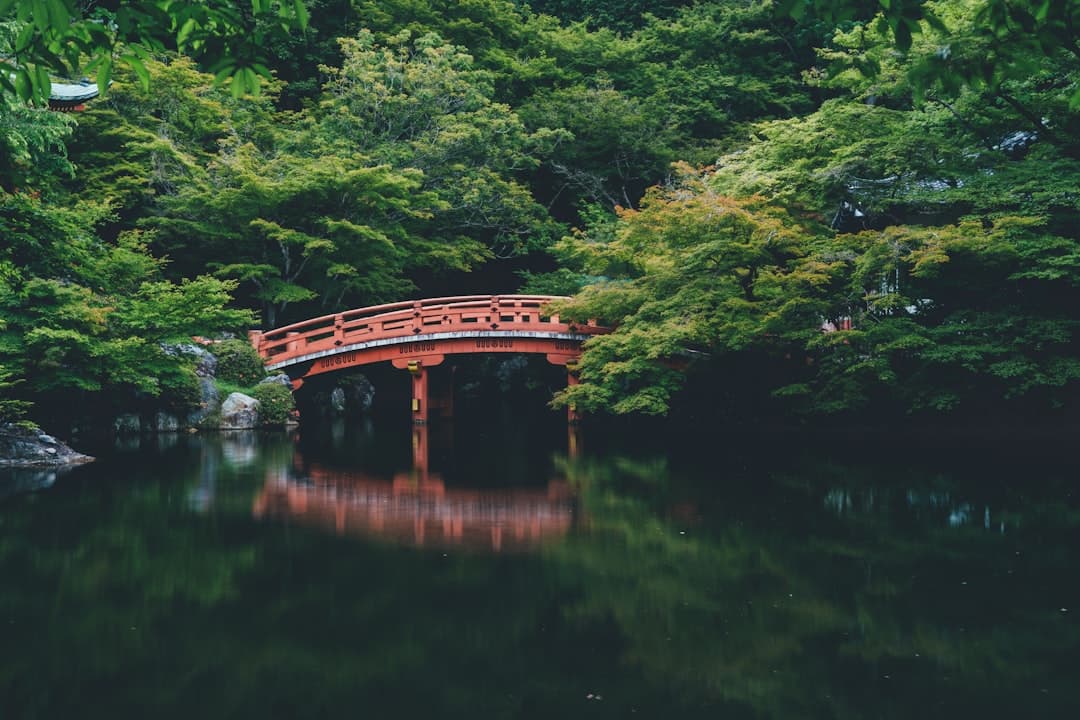 A red bridge over a pond in a Japanese garden