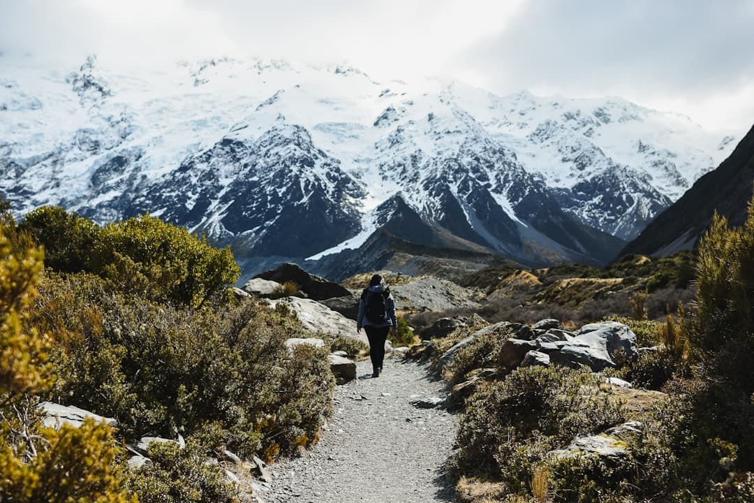 A lone hiker following a gravel alpine track toward snow-covered peaks