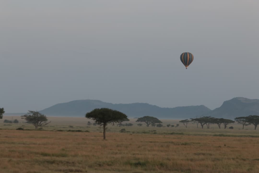 A hot-air balloon drifting low over the savannah
