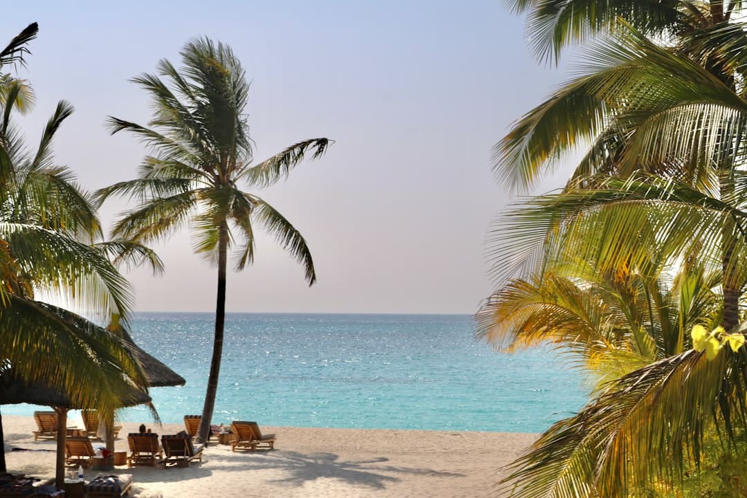 White sand and leaning palms on a Zanzibar beach