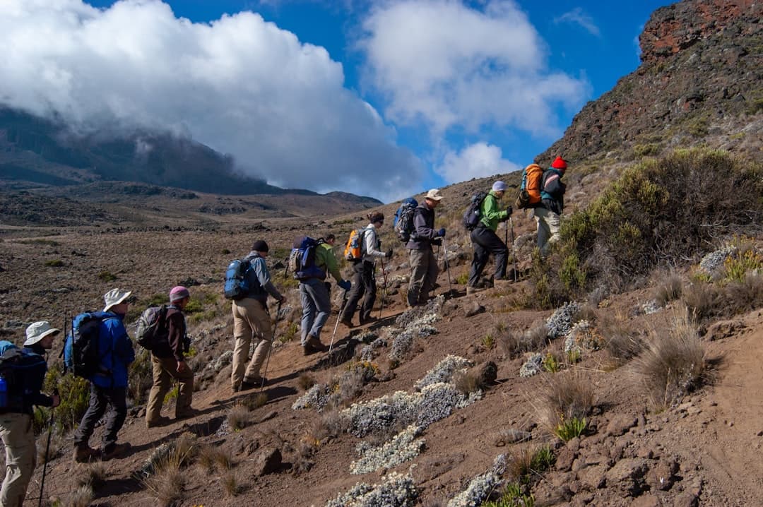 Trekkers on Kilimanjaro's high slopes above the clouds
