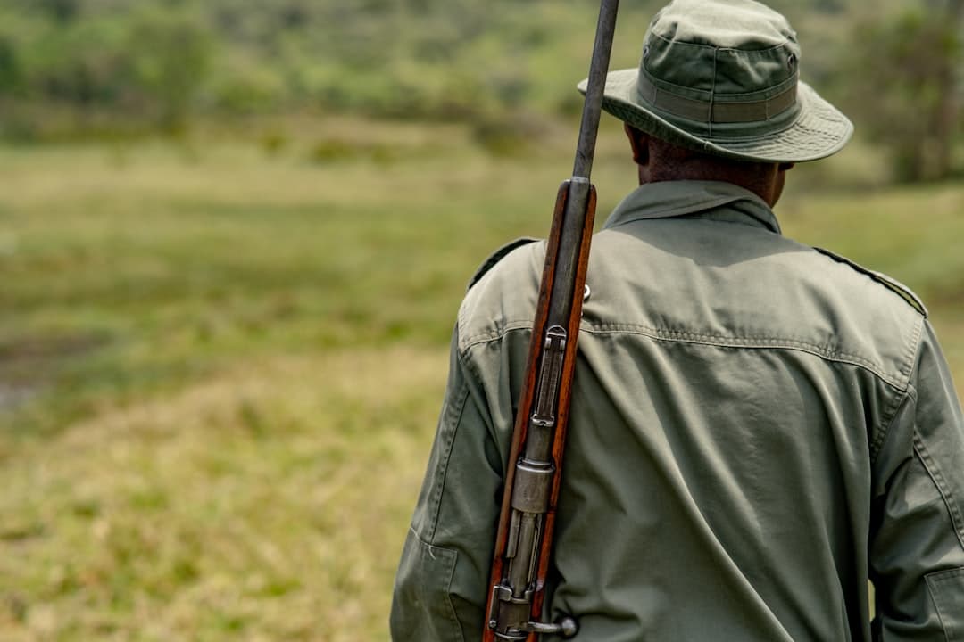 A guide leading a walking safari through golden grass