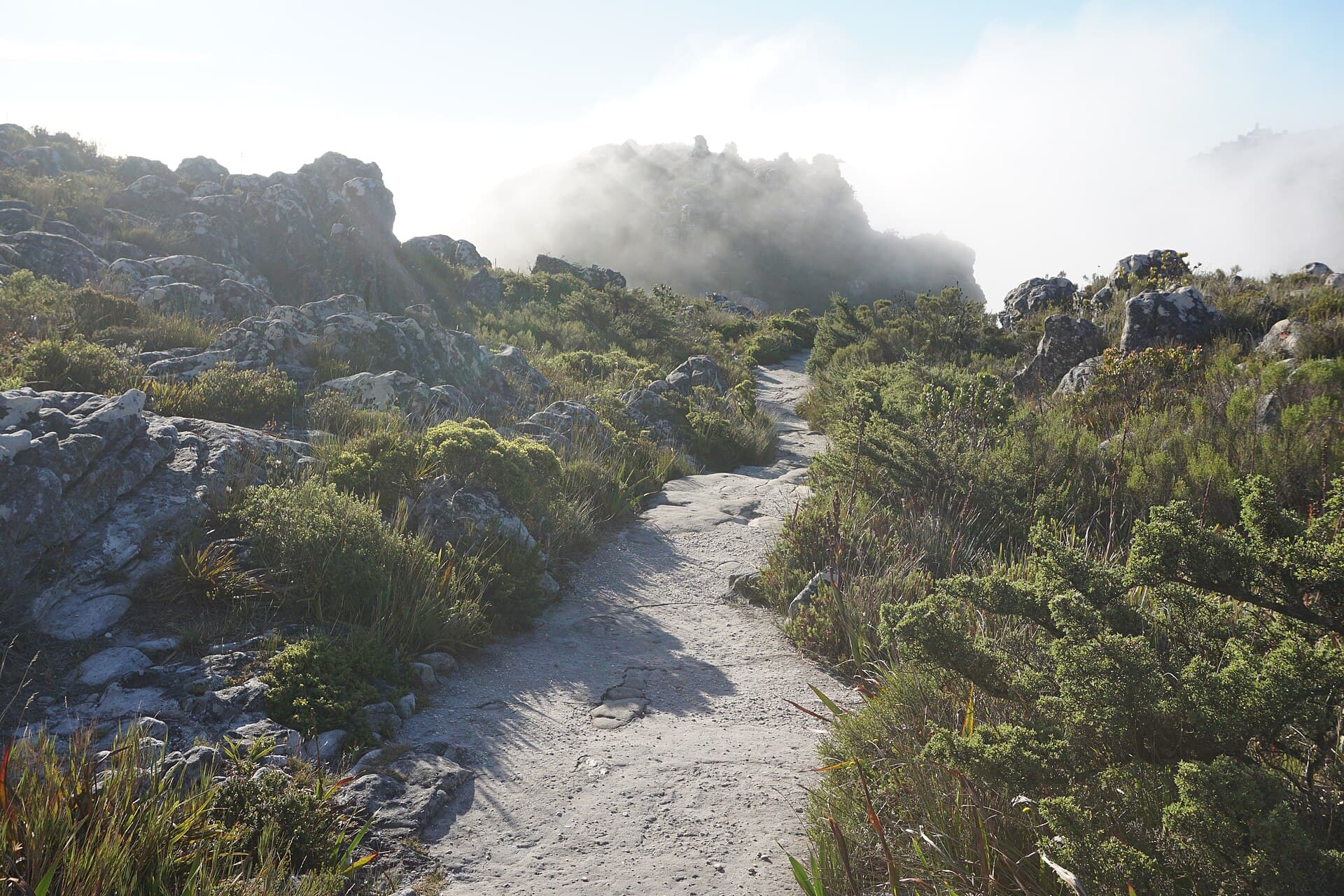 A stone path climbing into cloud on Table Mountain