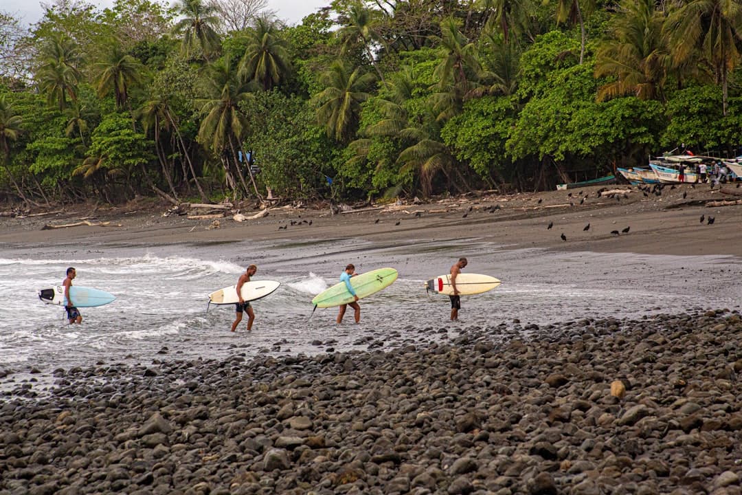 Surfers carrying boards into the waves off a jungle-backed beach